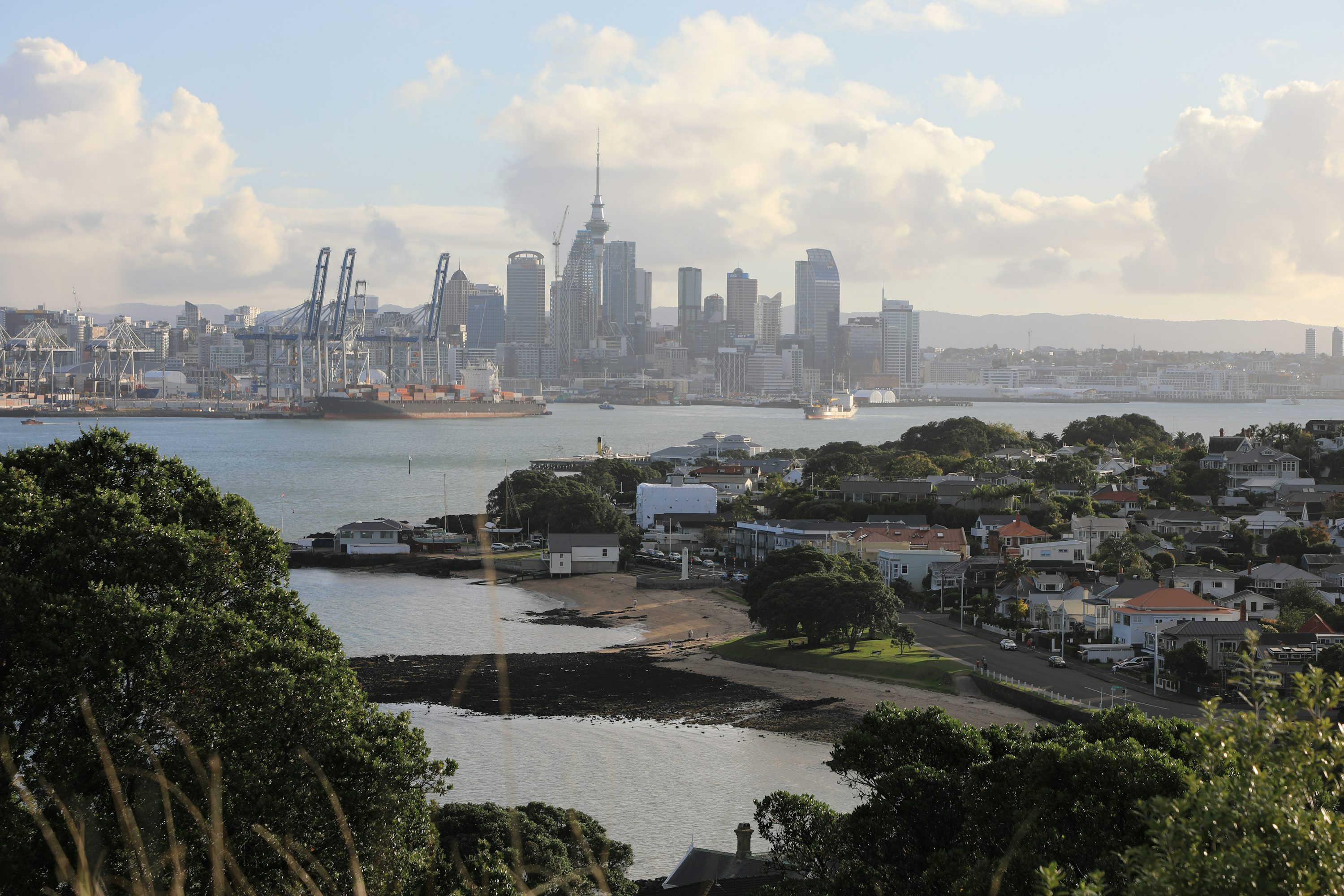 NZ Tech Scene